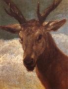 VELAZQUEZ, Diego Rodriguez de Silva y Deer oil painting